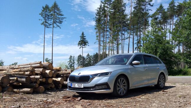 Škoda Octavia, auto, les