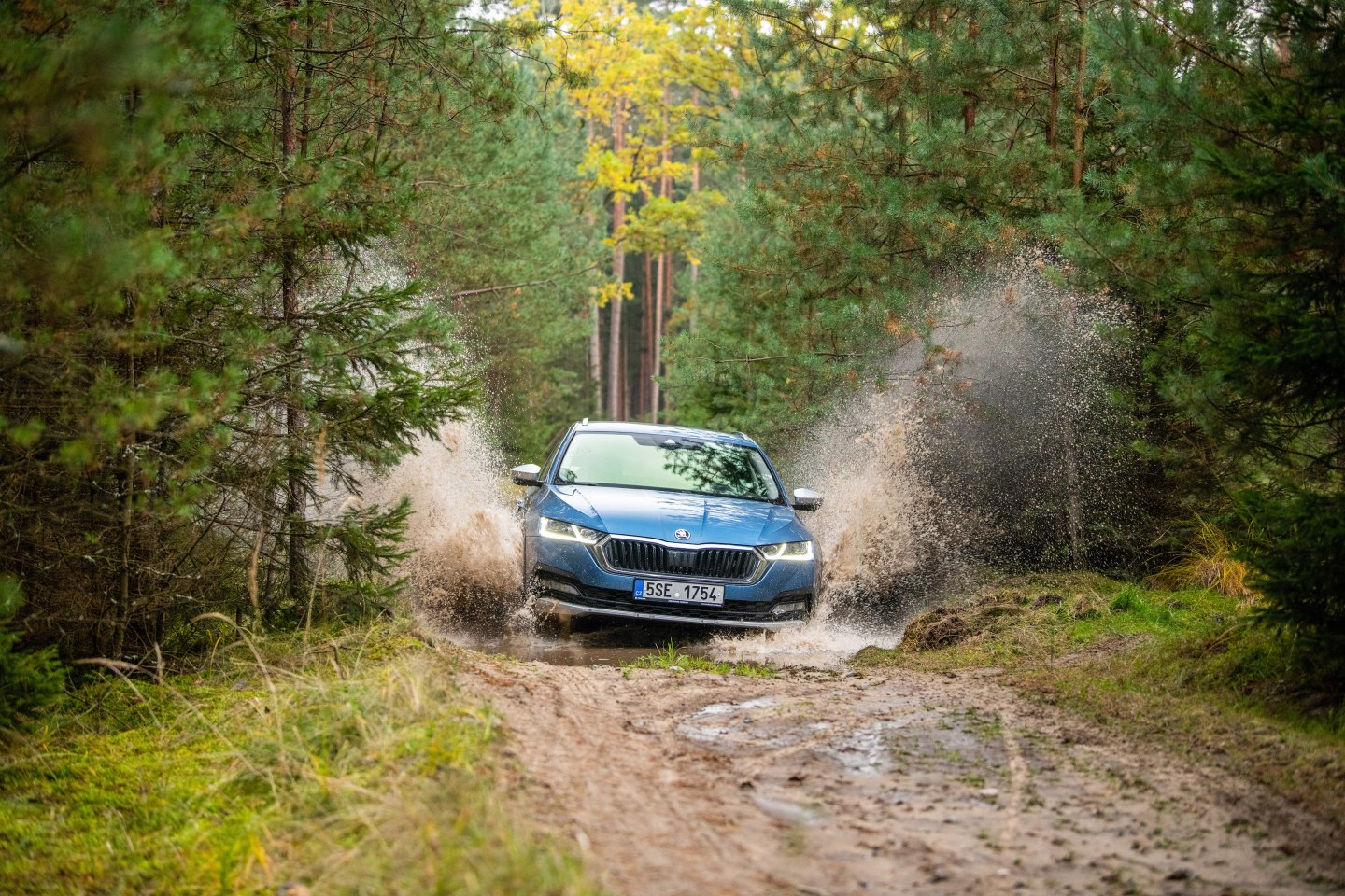 auto, bláto, škoda, scout