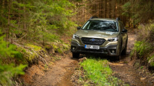 auto, terén, les, subaru, outback