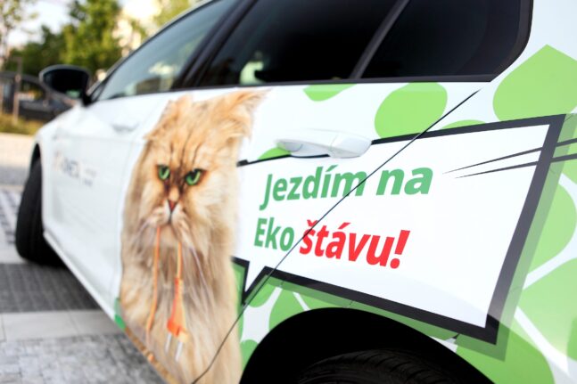 moneta, auto, elektromobil, kočka