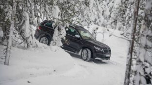 auto, zima, winter, škoda kodiaq