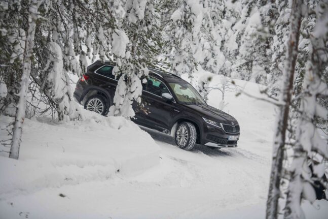 auto, zima, winter, škoda kodiaq