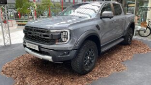 Ford, Raptor, auto. šedé, pick-up