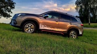 auto, suv, subaru, forester