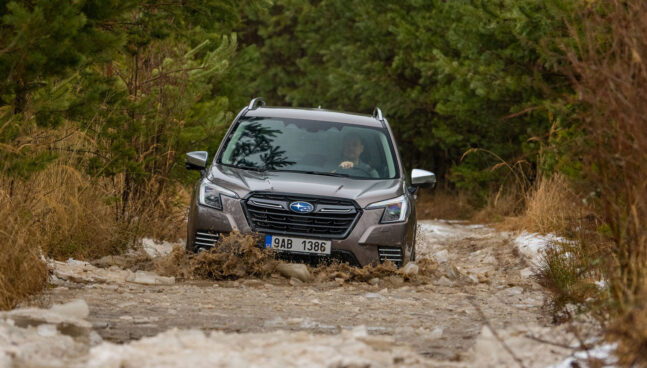 auto, terén, subaru, forester