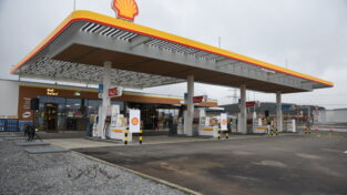 nafta, ceny, shell