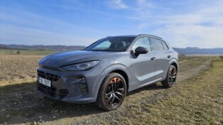 test cupra terramar,