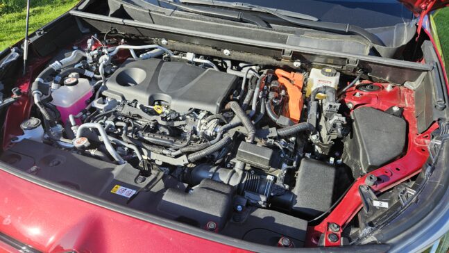 Test Suzuki Across