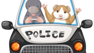 nehody, auto, zvířata, pojišťovna Slavia