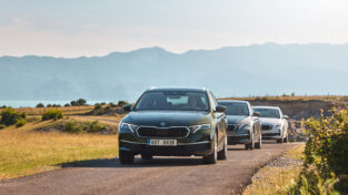 Škoda Auto, 2025, ČR, český trh,